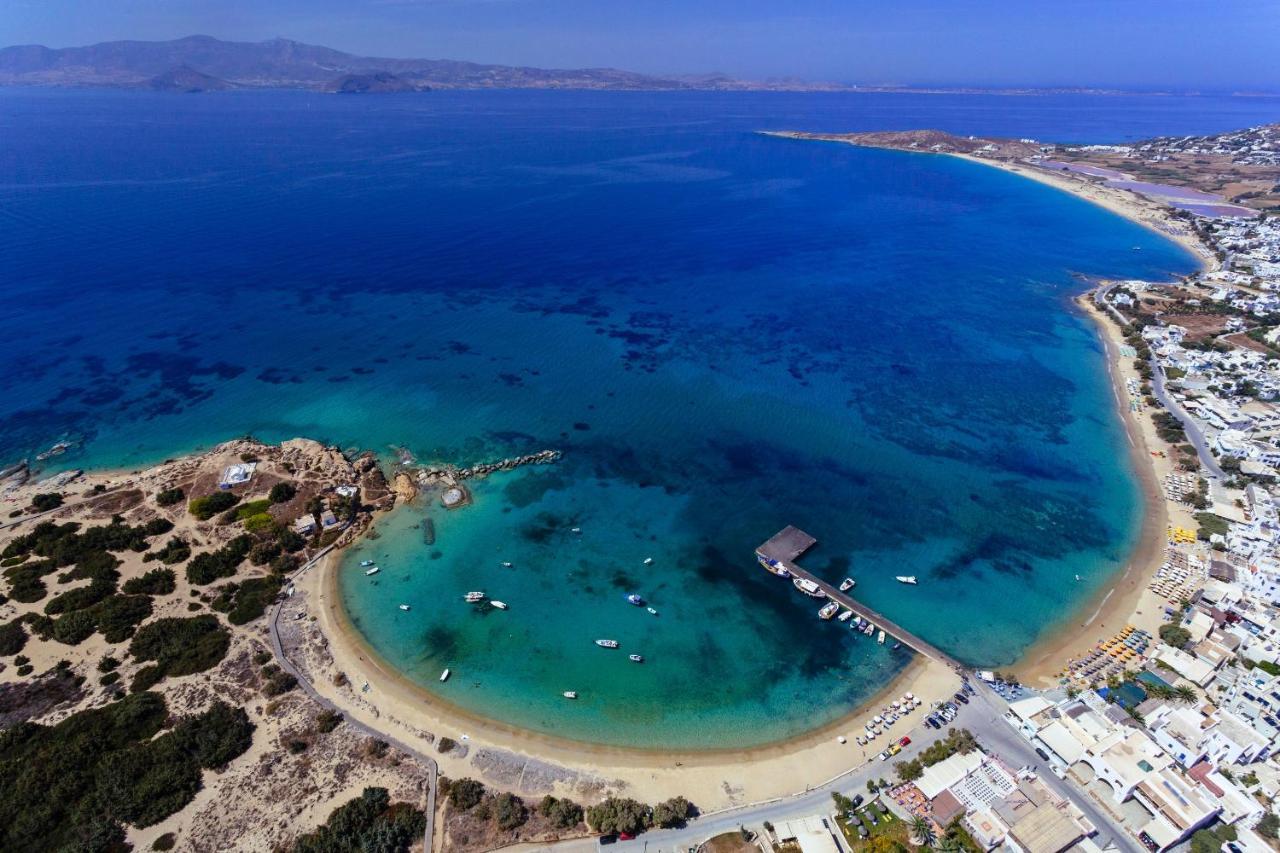 Apartment Naxian Serenity *