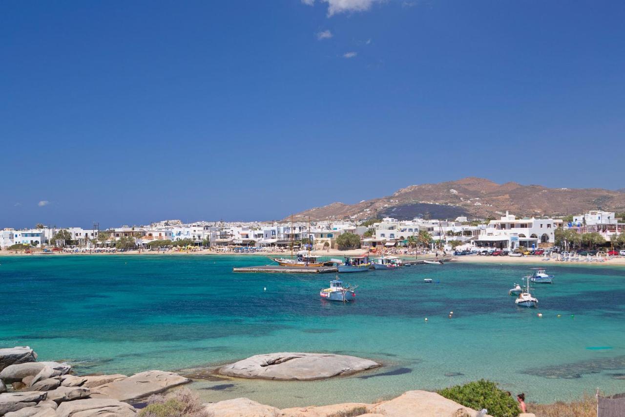 Apartment Naxian Serenity *
