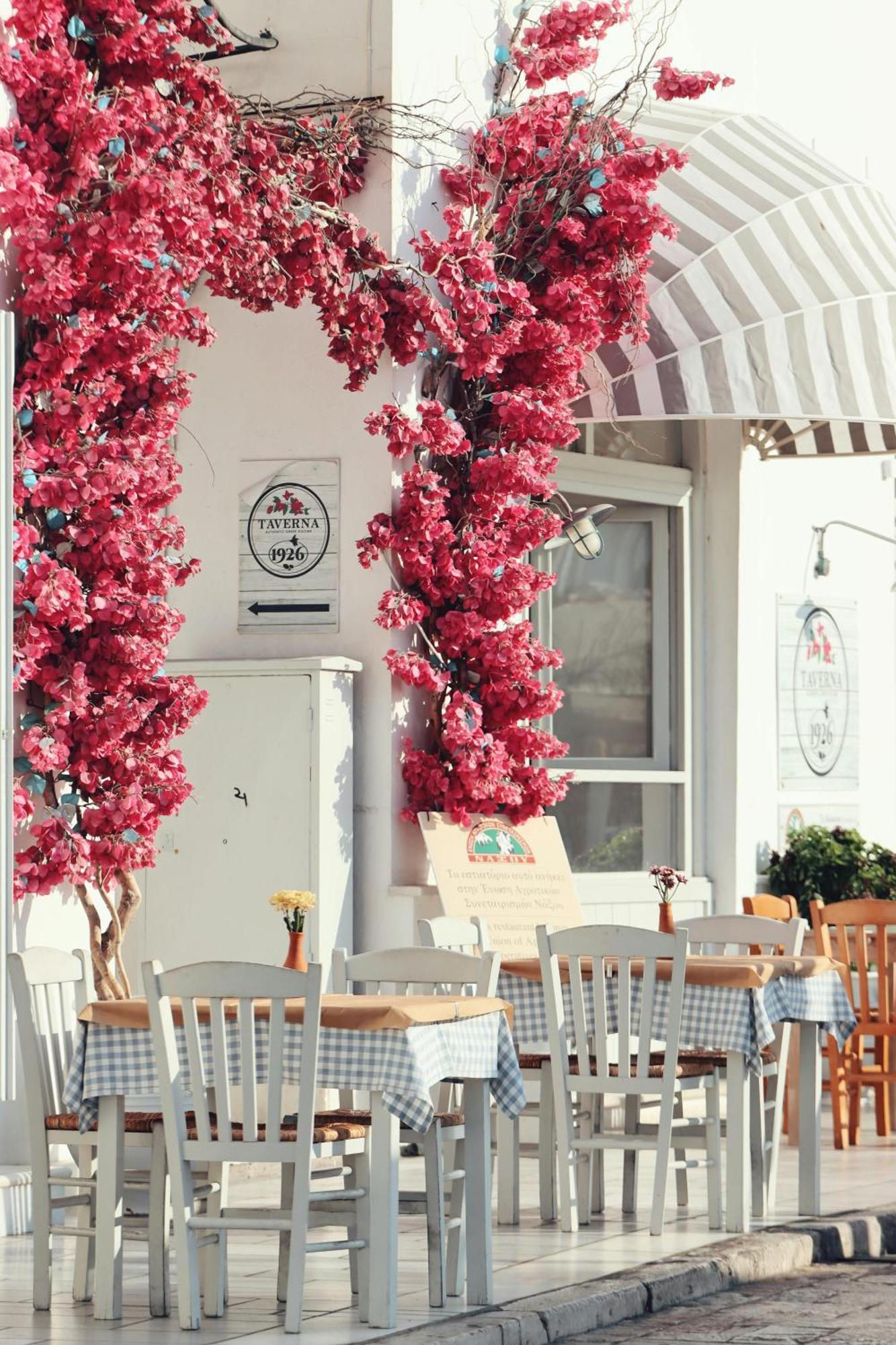 Naxian Serenity Apartment Agia Anna (Naxos)